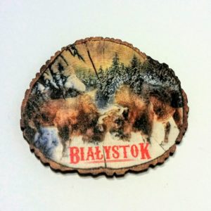 Magnes - pieniek 2 żubry